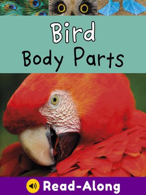 cover image of Bird Body Parts